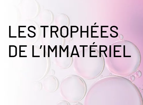 Les Trophées de L’immatériel 2021- Skopai presents an award in the Start-up category