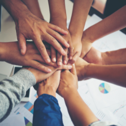 collaboratif collaborative start-up list
