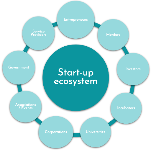 Schéma de l'écosystème d'affaire des start-up