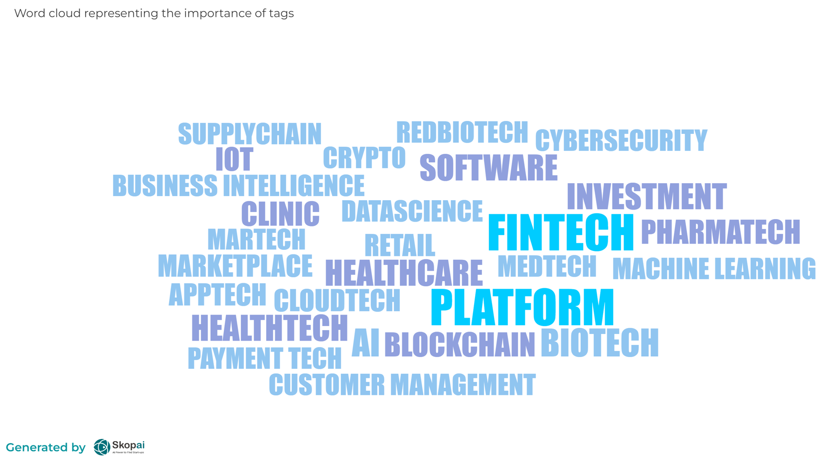 Skopai start-up fundraising news: Word cloud representing the importance of tags.